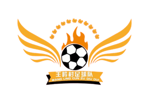 王岭村足球队